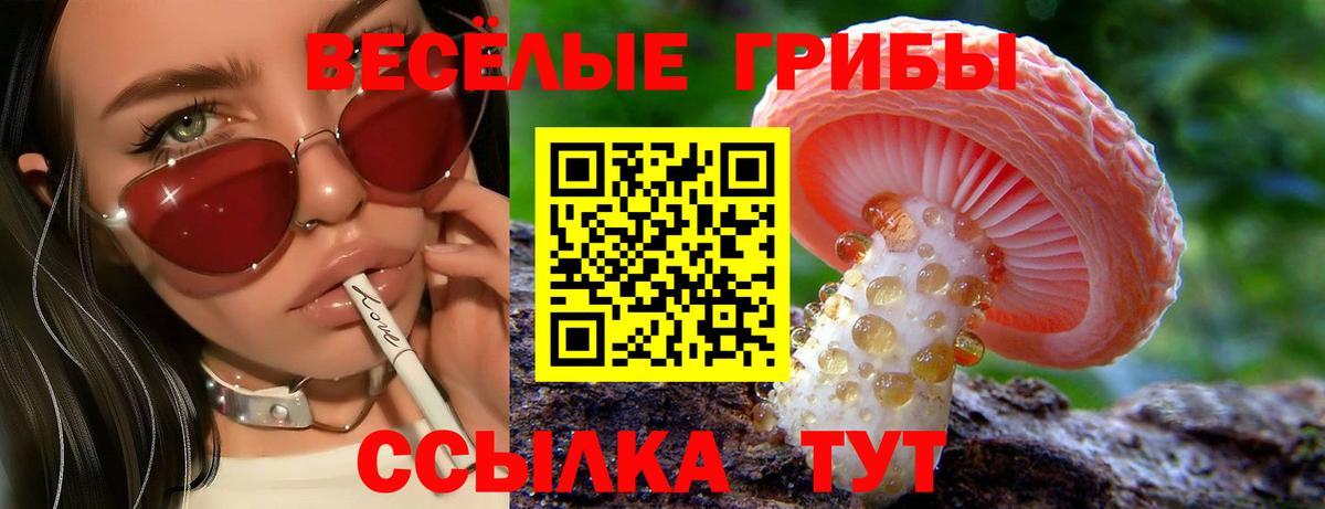 Галлюциногенные грибы мухоморы  Вход с VPN  Галлюциногенные грибы прущие грибы  Гай 